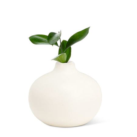 Bud Vase 2.5″ — Ivory