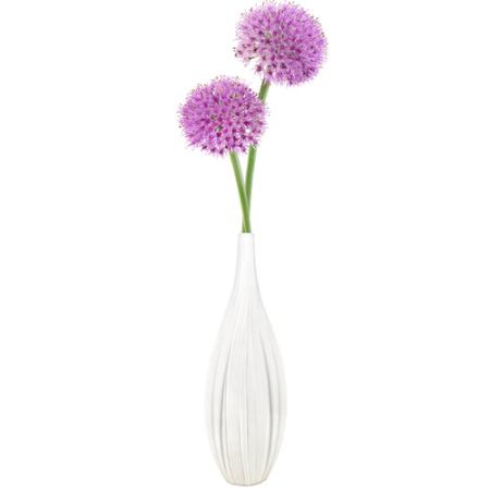 Allium Vase — White